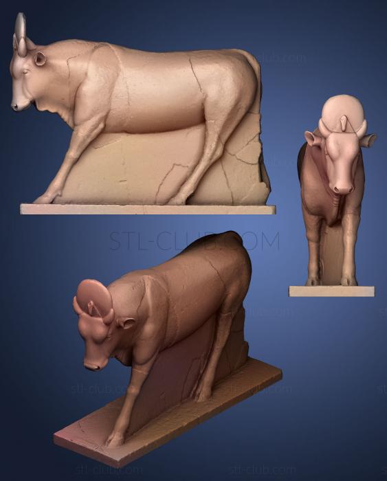 3D model Apis Bull (STL)